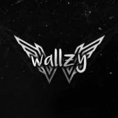 Wallzy