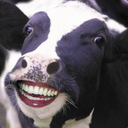 Moo