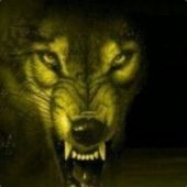 Wulf