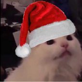 FaknYoshi