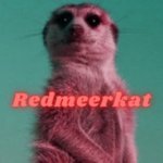 RedMeerKat2015