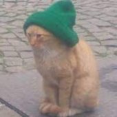 HipsterCat