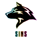 SINS